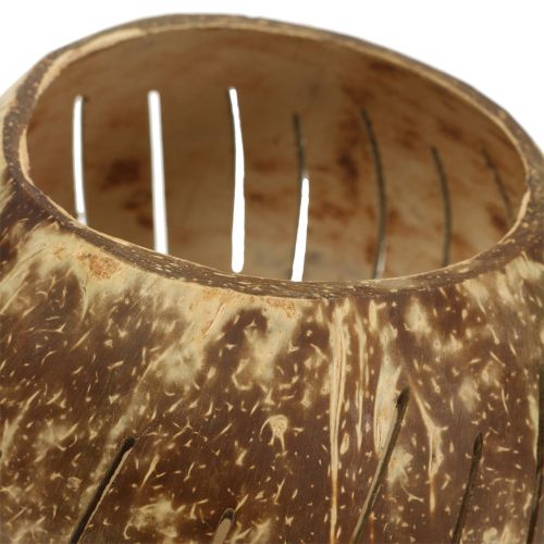 Artikel Kokosnuss Schale poliert mit Streifen Natur Ø12cm – Ø14cm 1St