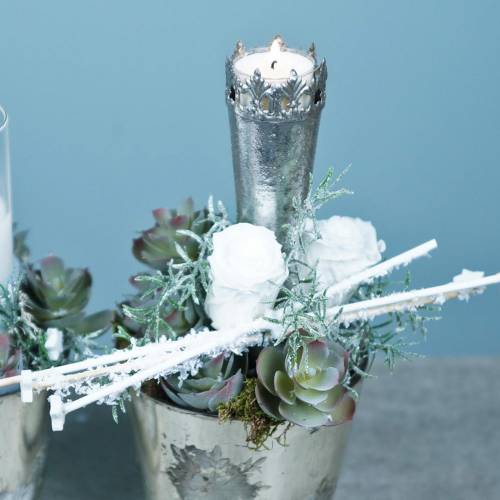 Artikel Konservierte Rosen Medium Ø4-4,5cm Weiß 8 St