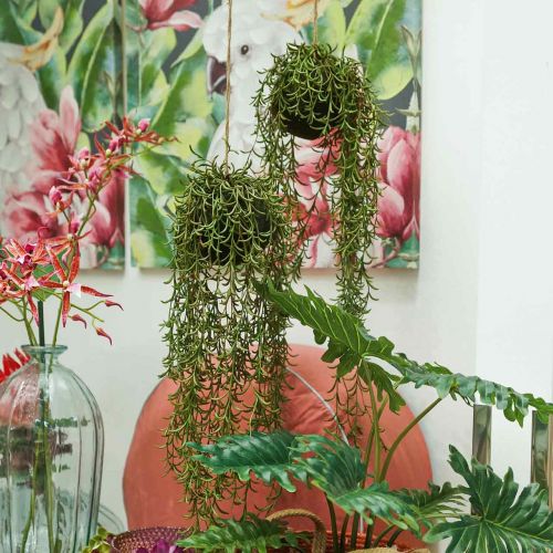 Floristik24 Korallenkaktus künstlicher Rhipsalis Hänger 90cm