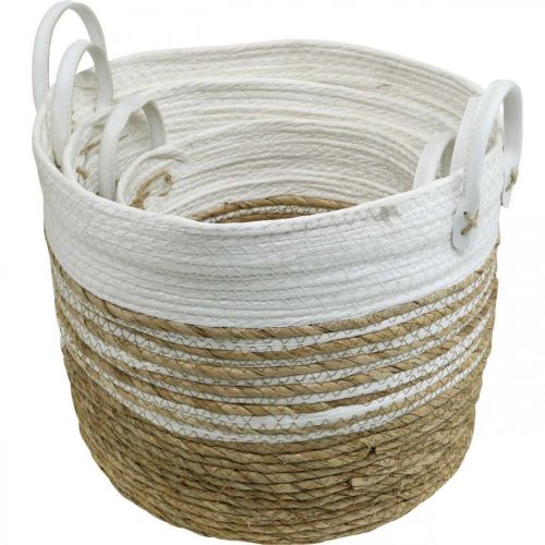 Floristik24 Korb zum Bepflanzen, Utensilo mit Henkeln, Ordnungshelfer Weiß, Natur Ø32/28/23cm H30/25/19cm 3er-Set