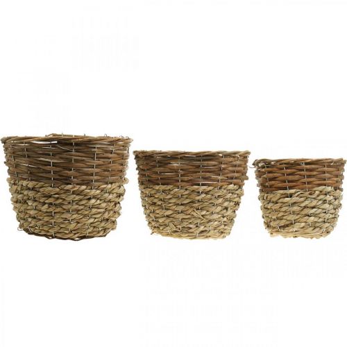 Artikel Weidenkorb-Set Natur, 3er Pflanzkörbe rund zum Bepflanzen, Dekorative Übertöpfe Ø27/25/20cm, Rustikales Korbgeflecht