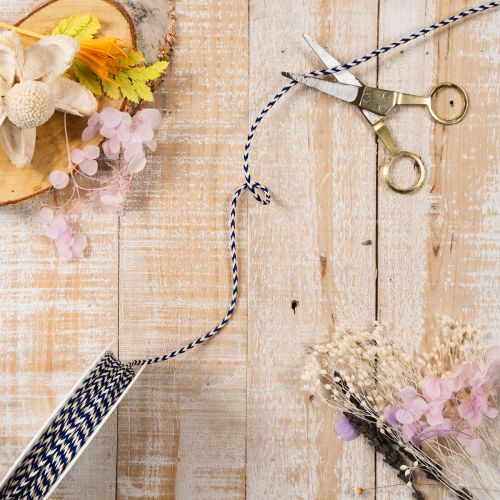 Geschenkband Kordel aus Polyester gestreift 3 mm 20 m weiss-blau für Dekoration | Floristik24.ch
