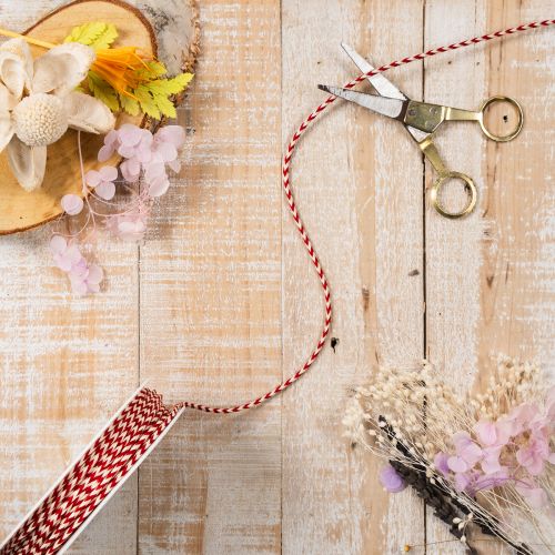 Kordel aus Polyester mit Zickzack-Muster, 3 mm, Rot-Weiss, 20 m Rolle | Floristik24.ch
