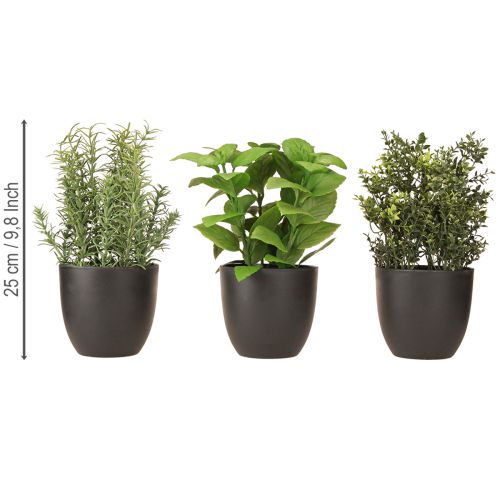 Floristik24 Kräuter künstlich Basilikum Thymian Rosmarin Ø11,5cm 3St