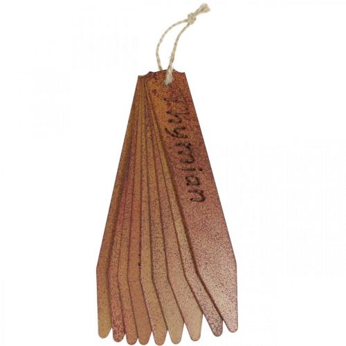 Roststecker, Kräuterschilder, Pflanzenbeschriftung Edelrost L20cm 9St