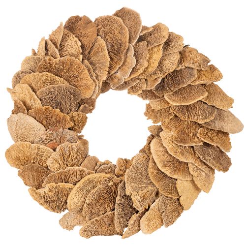Baumschwamm-Kranz naturfarben 37cm für Tür- und Wanddekoration online kaufen | Floristik24.ch