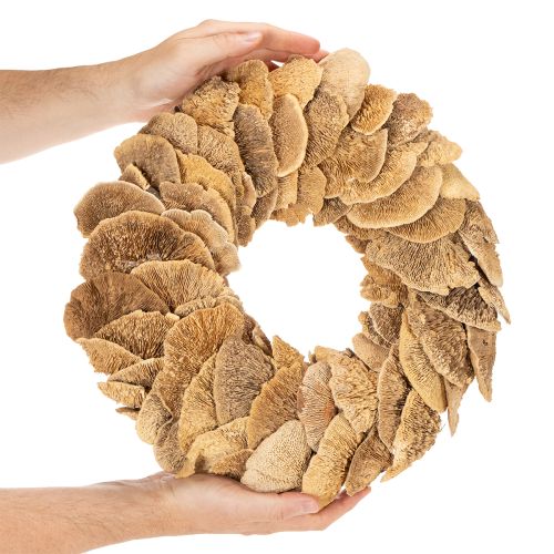 Baumschwamm-Kranz naturfarben 37cm für Tür- und Wanddekoration | Floristik24.ch