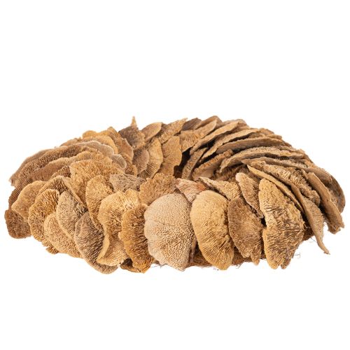 Baumschwamm-Kranz naturfarben 37cm für Tür- und Wanddekoration | Floristik24.ch