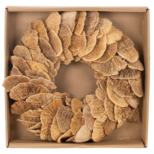 Baumschwamm-Kranz naturfarben 37cm für Tür- und Wanddekoration | Floristik24.ch