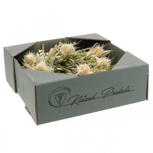 Floristik24 Trockenblumenkranz Kardendisteln Gräser Getreide Ø28cm