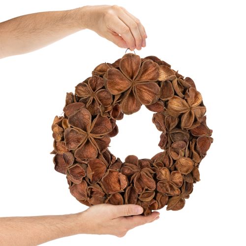 Türkranz aus getrocknetem Landlotus, braun, 35 cm | Floristik24.ch