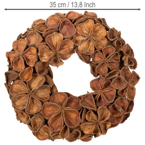 Türkranz aus getrocknetem Landlotus, braun, 35 cm | Floristik24.ch