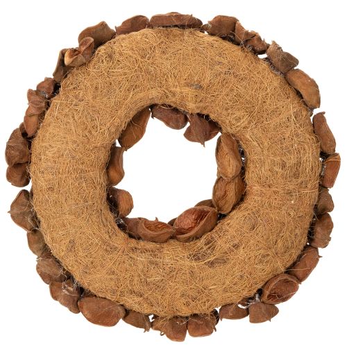Türkranz aus getrocknetem Landlotus, braun, 35 cm | Floristik24.ch
