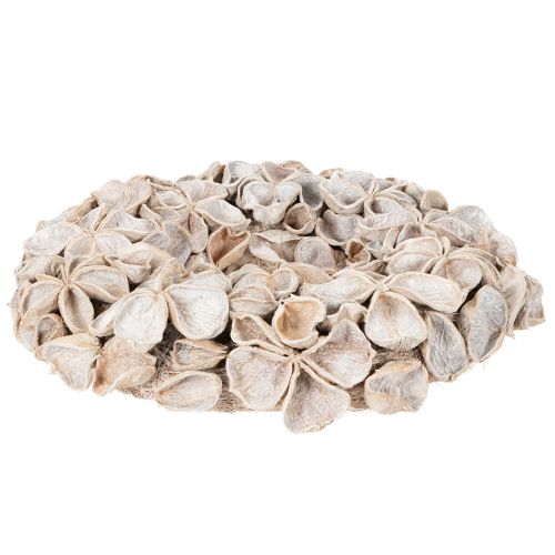 Trockenblumenkranz aus Landlotus-Blüten 35 cm geweisst | Floristik24.ch