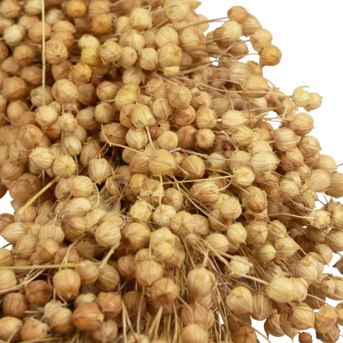 Floristik24 Boho Deko Kranz Flachs Dekokranz Naturkranz trocken Ø28cm