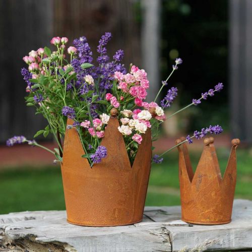 Floristik24 Krone aus Metall Rostdeko zum Bepflanzen Edelrost Ø10,5cm H13,5cm