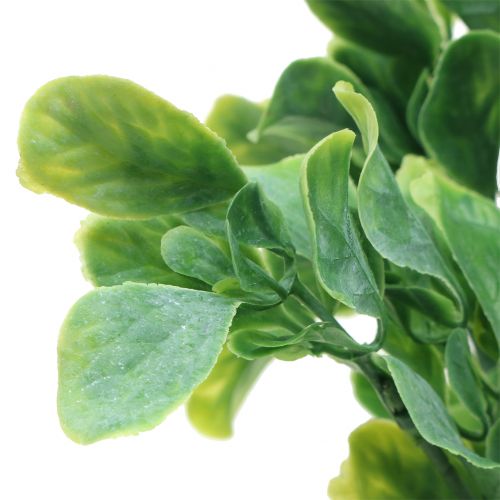 Floristik24 Basilikum im Bund künstlich Grün 36cm 6St