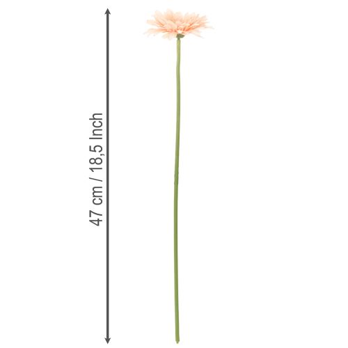 Künstliche Gerbera Blume Apricot 47cm Kunststoff 6St | Floristik24.ch