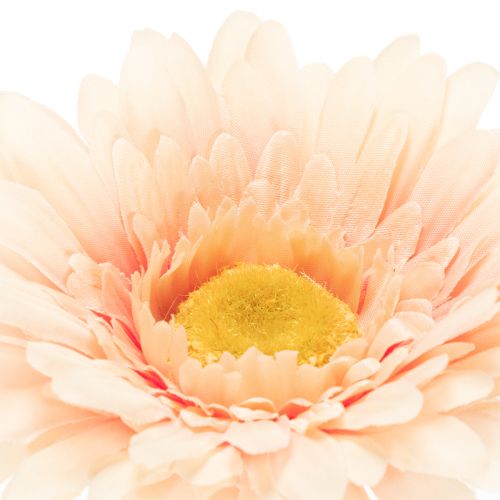 Künstliche Gerbera Blume Apricot 47cm Kunststoff 6St | Floristik24.ch