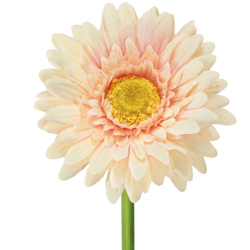Floristik24 Künstliche Blumen Gerbera Apricot 47cm