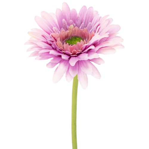 Künstliche Gerbera aus Kunststoff und Metall, Lila, 47 cm 6St online kaufen | Floristik24.ch