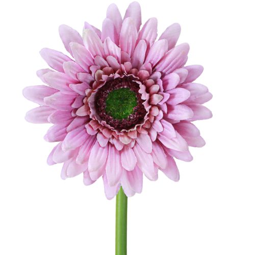 Künstliche Blumen Gerbera Garten Kunstblumen Lila 47cm