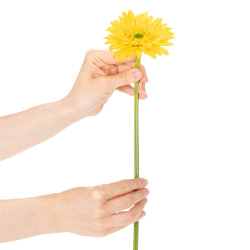 Künstliche Gerbera in Sonnengelb, 47 cm, Kunststoff und Metall 6St | Floristik24.ch