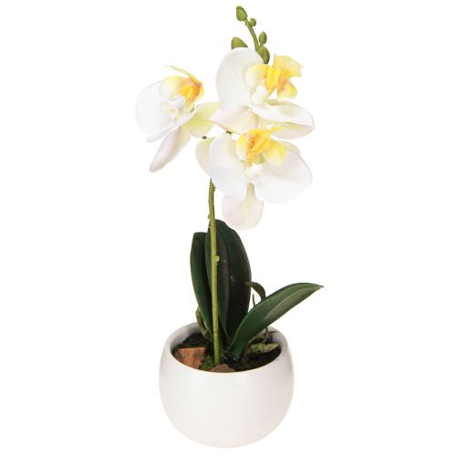 Floristik24 Künstliche Orchideen im Topf Weiß Mini Orchideen Ø7cm H22cm