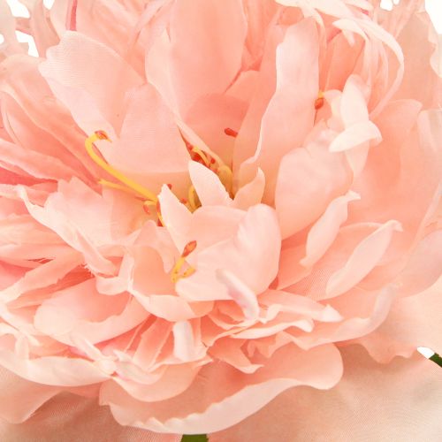 Floristik24 Künstliche Pfingstrosen Rosa Paeonia Lachs L60cm 2St