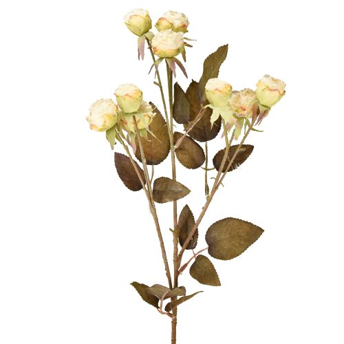 Artikel Künstliche Rosen verwelkt Drylook 9 Blüten Creme 69cm