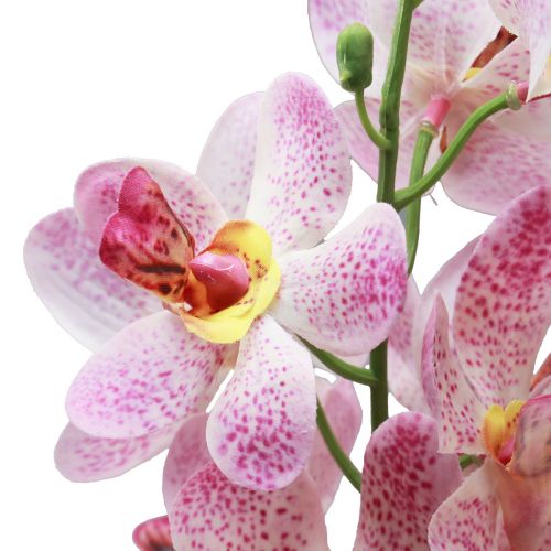 Artikel Künstliche Orchidee Pink Weiß Kunstblume Orchidee 73cm