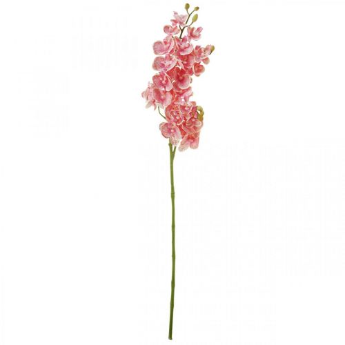 Floristik24 Künstliche Orchideen Deko Kunstblume Orchidee Rosa 71cm