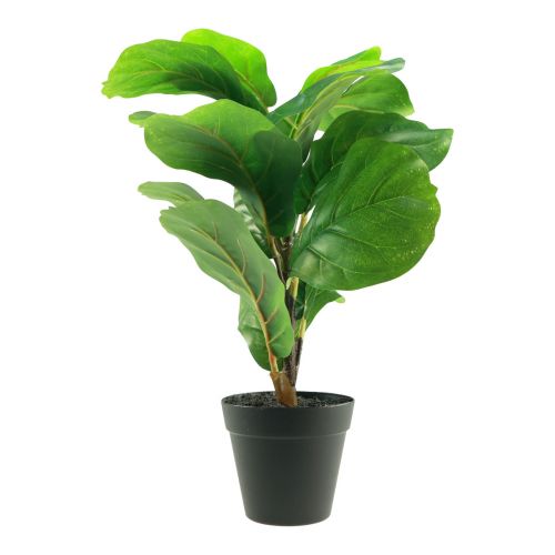 Floristik24 Künstliche Topfpflanze Ficus Kunstpflanze im Topf 42cm