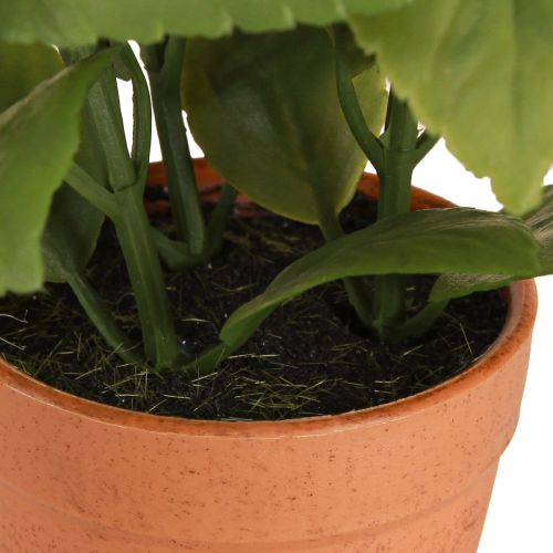 Artikel Künstlicher Basilikum im Topf Kräutertopf Kunstpflanze 22cm 2St