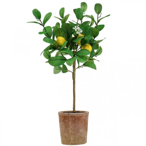 Floristik24 Künstlicher Zitronenbaum im Topf Zitronenbäumchen 58cm