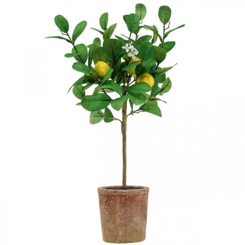 Floristik24 Künstlicher Zitronenbaum 58cm Topf Dekobaum Mediterran