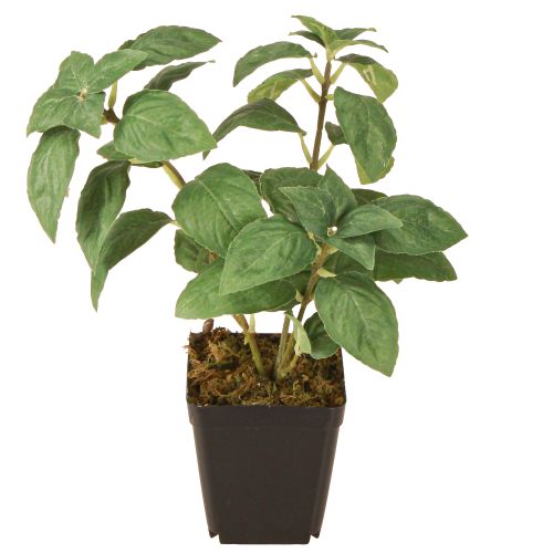 Floristik24 Künstliches Basilikum im Topf Kräuter in Grün H22cm