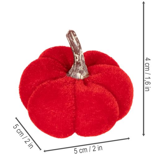 Deko Kürbis Set aus Samt, 5 cm, Rot, Orange, Gelb, 12 Stück | Floristik24.ch