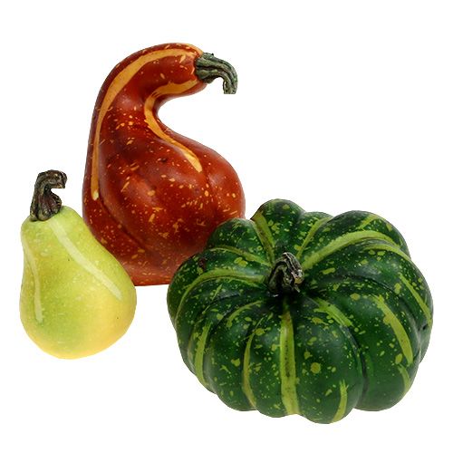 Floristik24 Kürbissortiment im Netz 12St