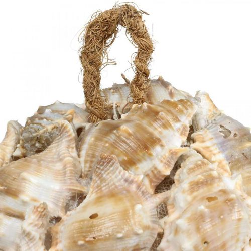 Artikel Deko Kugel Schneckenhäuser Muscheln Deko hängend Natur Ø12cm
