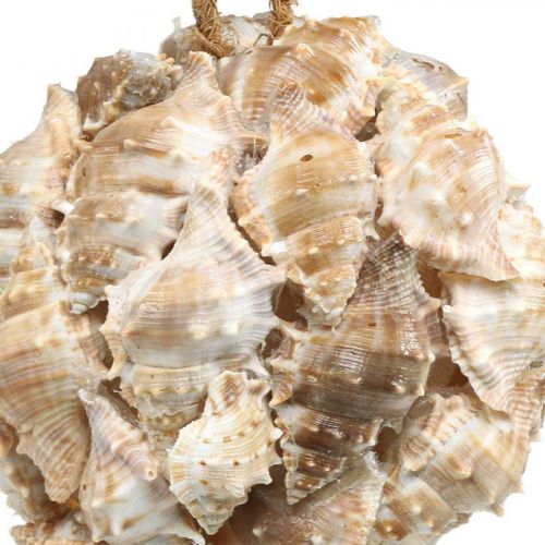Artikel Deko Kugel Schneckenhäuser Muscheln Deko hängend Natur Ø12cm