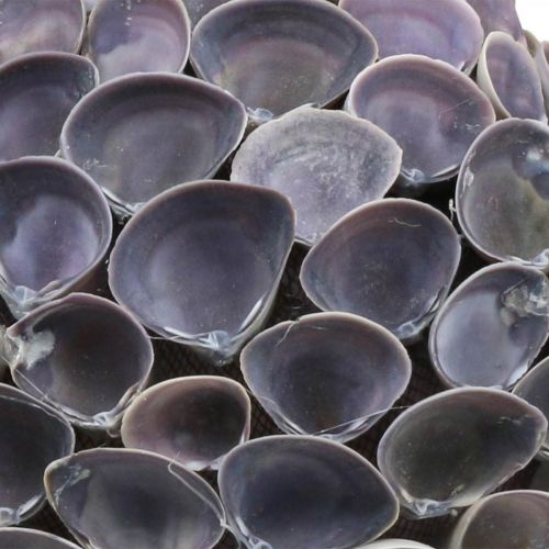 Artikel Muschel Kugel Maritime Deko mit Muscheln Dekokugel Violett Ø12cm