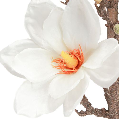 Artikel Kunstblume Magnolienzweig Blüten Ø2–10cm Creme L105cm
