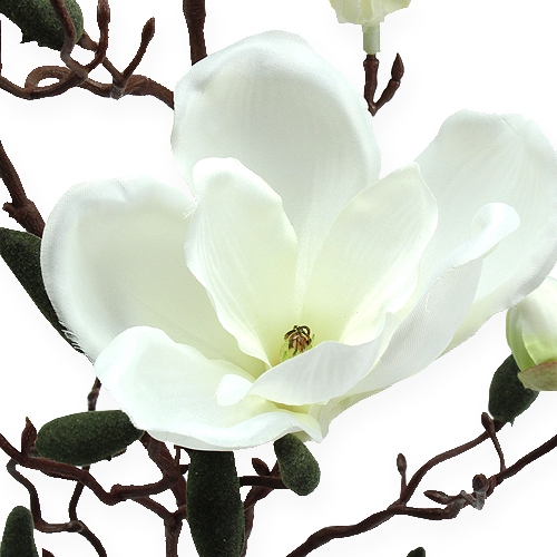 Floristik24 Magnolienzweig künstlich Creme 90cm