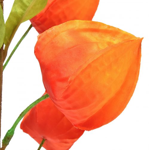 Floristik24 Kunstblume Orange Lampionblume Physalis Deko Seidenblumen 93cm 2 St