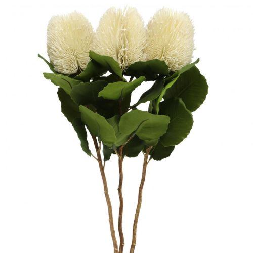 Artikel Kunstblumen, Banksia, Proteaceae Cremeweiß L58cm H6cm 3St