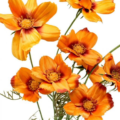 Artikel Kunstblumen Cosmea Orange Schmuckkörbchen H51cm 3 St