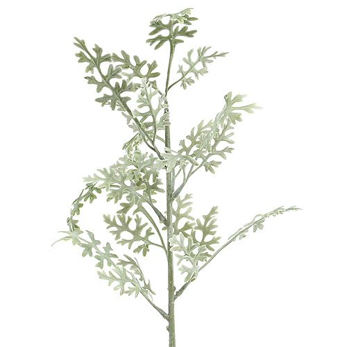 Floristik24 Kunstpflanzen Silberblatt weiß-grün 40cm 6St