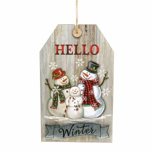 Floristik24 LED-Wandbild Schneemann „Hello Winter“ 23×38,5cm Für Batterie
