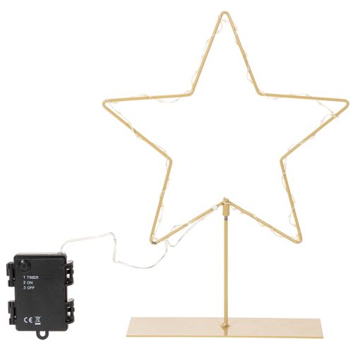 Stern aus Metall mit 50 LEDs in Gold, 33 cm, batteriebetrieben, für Innenbereich | Floristik24.ch